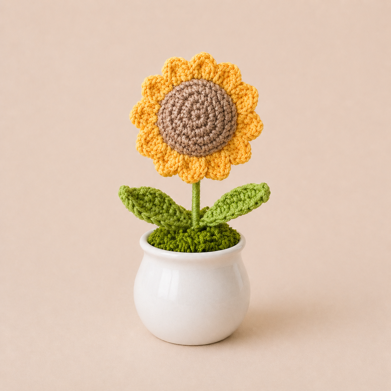 Crocheted Flower Pot